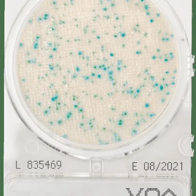 COMPACT DRY (X-SA) STAPH. AUREUS (4UD. PAQ)